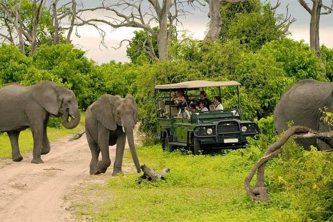 Chobe Full Day Trip - Trip Details