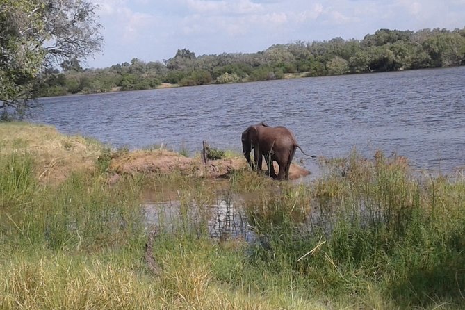 Chobe Full Day Trip - Frequently Asked Questions