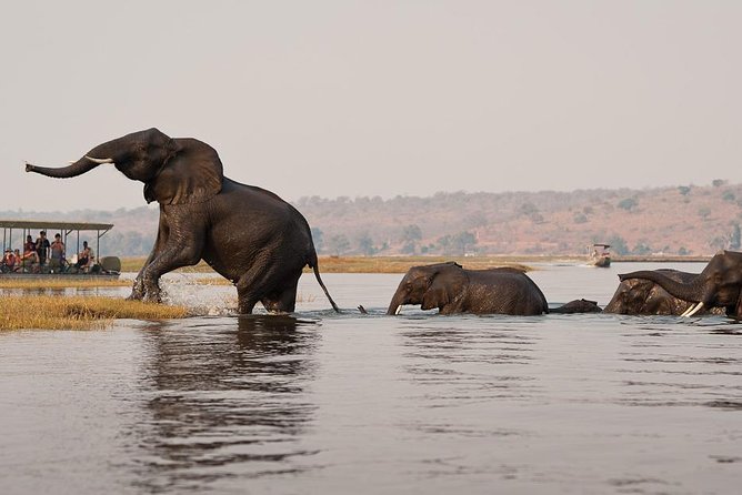 Chobe National Park and Impalila Island Day Tour From Victoria Falls - Customer Reviews