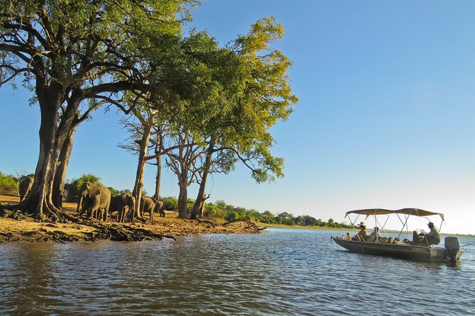 Chobe National Park Camping Safari From Victoria Falls (3 Days and 2 Nights) - Dining Under the Stars