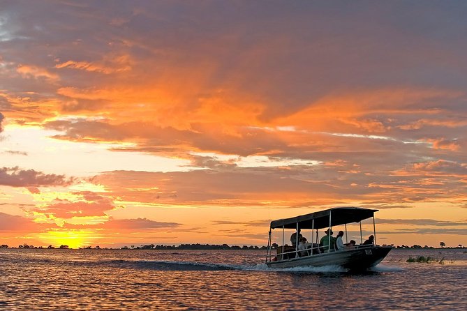 Chobe National Park Camping Safari From Victoria Falls (3 Days and 2 Nights) - Safari Activities
