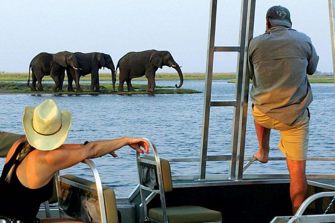 Chobe National Park Camping Safari From Victoria Falls (3 Days and 2 Nights) - Booking Details