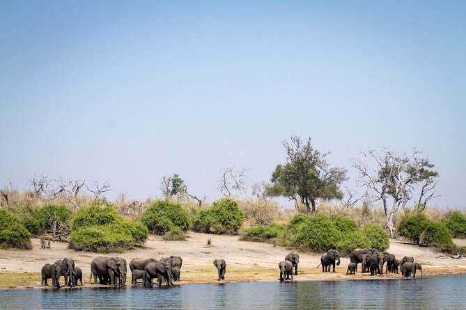 Chobe National Park Day & Overnight Game Safari - Cancellation Policy Details