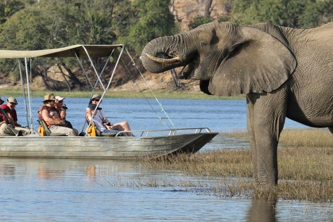 Chobe National Park Day Trip From Victoria Falls - Meeting and Pickup Details