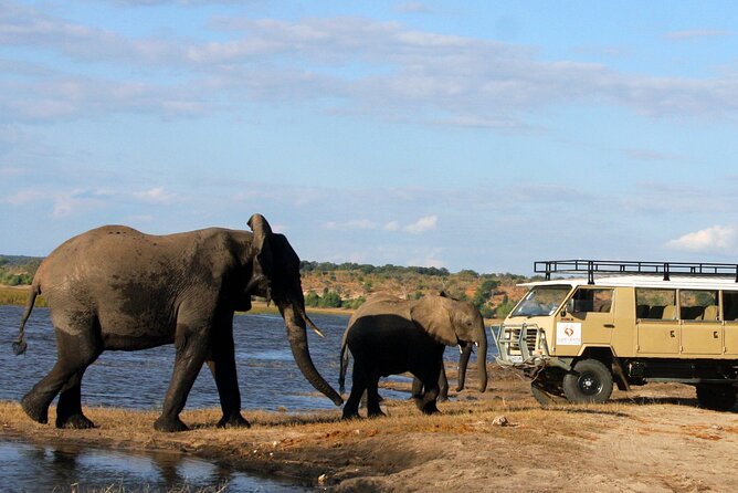 Chobe National Park Day Trip From Victoria Falls - The Sum Up