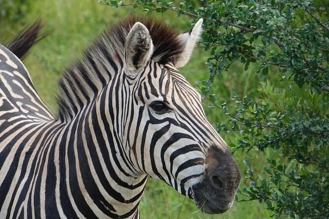 Chobe National Park From Victoria Falls - Directions