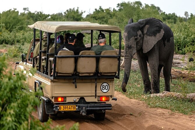 Chobe National Park Game Drive Safari Botswana - Good To Know