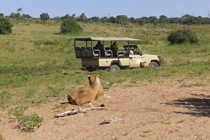Chobe National Park Game Drive Safari Botswana - Cancellation Policy