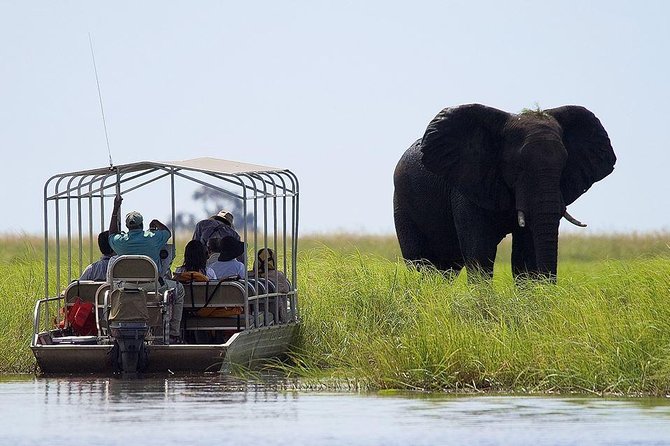 Chobe National Park Safari Full Day-trip - Good To Know