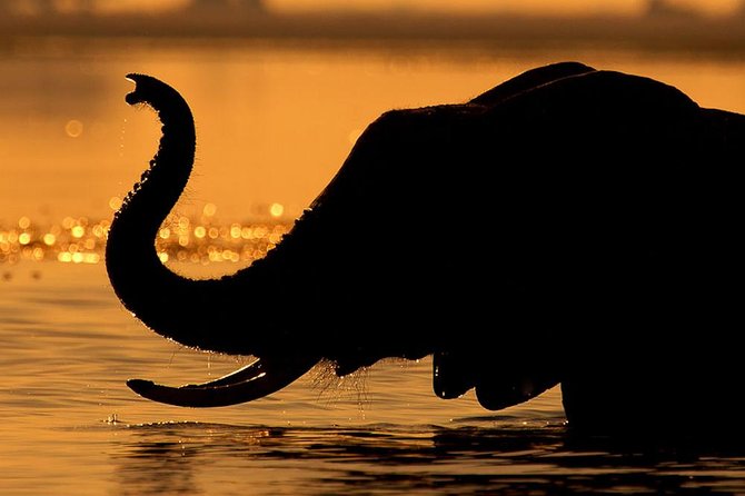Chobe Sunset Cruise From Victoria Falls - Reviews