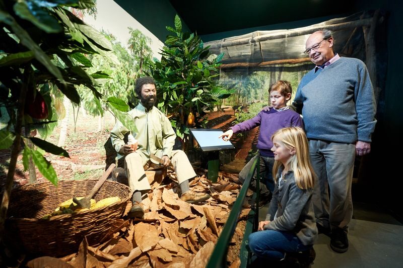 Choco-Story Brussels Ticket - Cocoa’s long journey begins in the Americas