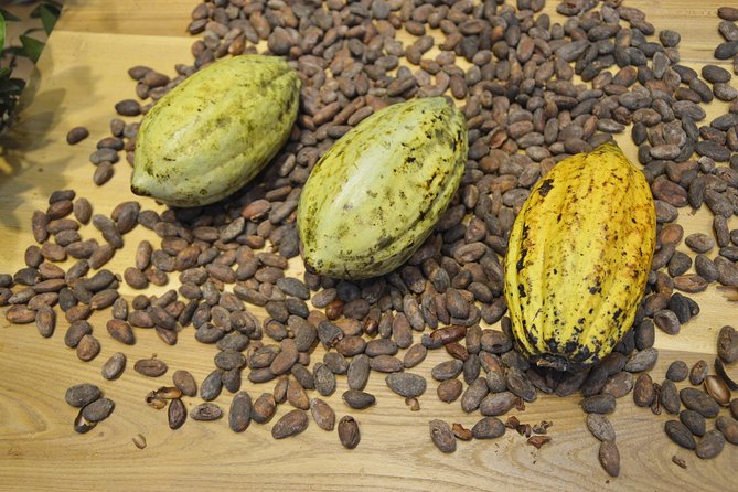 Chocolate and Cobblestones San Miguel De Allende Walking Tour - Reviews