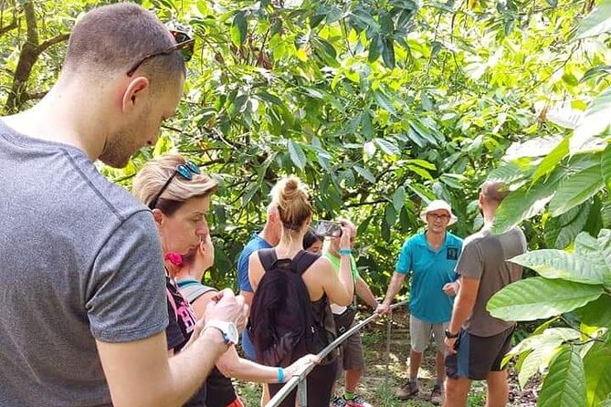 Chocolate and Coffee Tour Farm Don Jorge - Tour Duration and Admission
