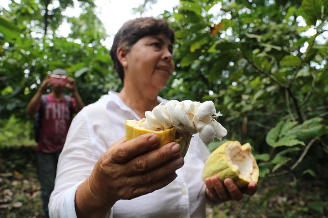 Chocolate & Coffee Farm Experience - Chocolate Making Workshop