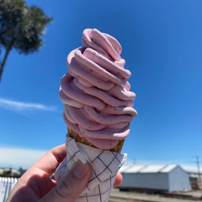 Chocolate Factory, Honey Visitor Centre and Ice Cream Tour - Who Is This Tour Best For?