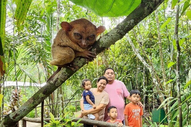 Chocolate Hills and Tarsier Day Tour in Bohol - Good To Know