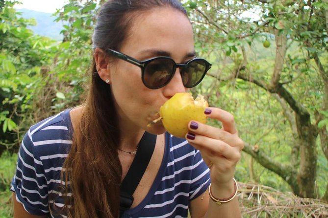 Chocolate Tour and Tropical Fruits - Tour Highlights