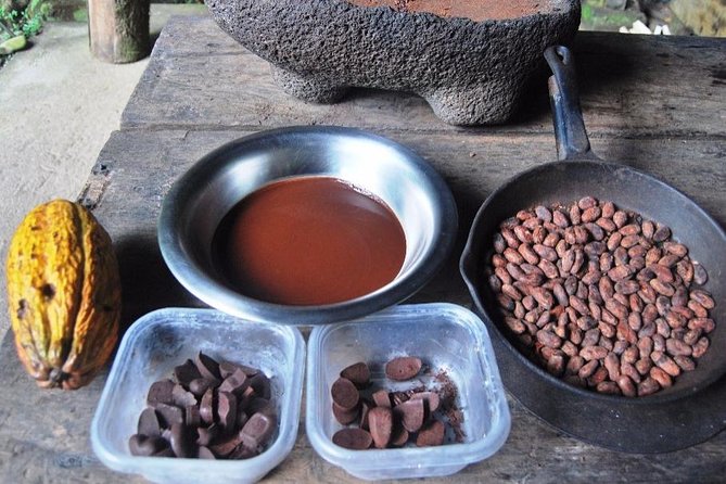 Chocolate Tour in Indigenous Area Bribri & Cahuita National Park - Tour Highlights