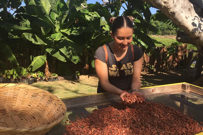 Chocolate Tour in Vallarta - Sample Menu: Cacao & Corn Drink