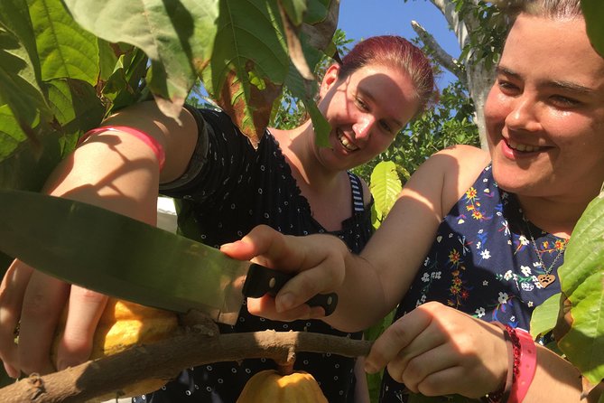 Chocolate Tour in Vallarta - Common Questions