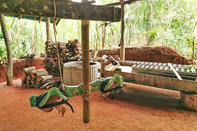 Chocolate Tour Manuel Antonio - Good To Know