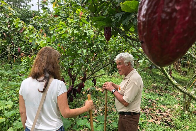 Chocolate Tour - Wonders of the Cacao - Tour Overview