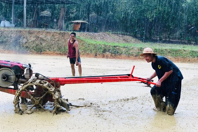 Choeng Thale Rice Fields, Jungle Trekking, and Tubing  - Phuket - Tour Overview and Inclusions