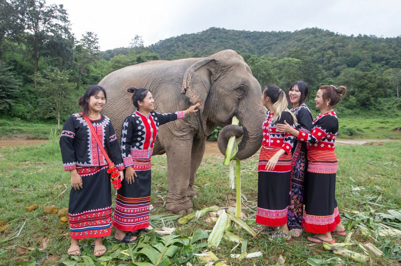 Chokchai Elephant Sanctuary Experience Chiang Mai - Feeding, food preparation, and bathing