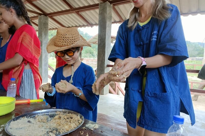 Chokchai Elephant Sanctuary Experience Chiang Mai - Timing, transport, and family planning