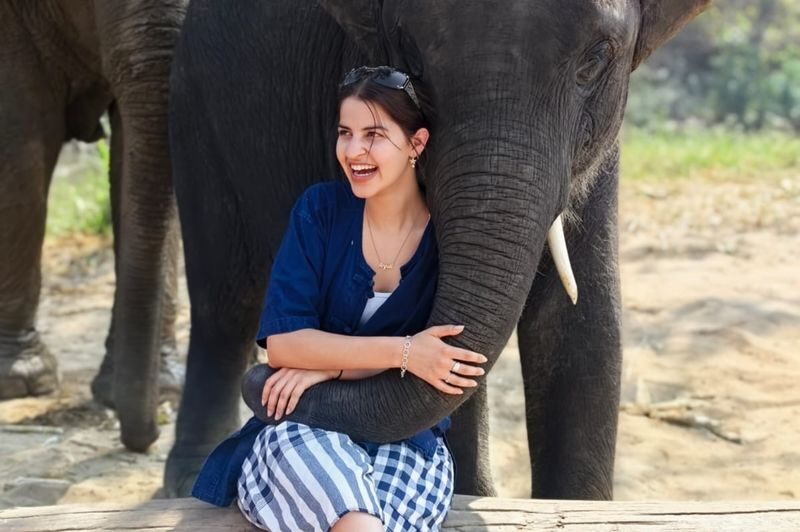 Chokchai Elephant Sanctuary Experience Chiang Mai - Is Chokchai good value?