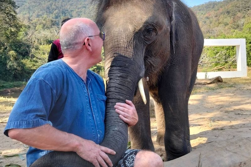 Chokchai Elephant Sanctuary Experience Chiang Mai - Should you book this elephant camp?