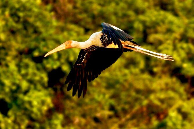 Chong Kneas Floating Village Rowing Boat Tour on Tonlé Sap Lake - Sunset & Reflection