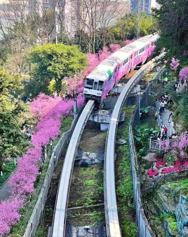 Chongqing: 1 Day Magic Mountain City Walking Tour - Who Will Appreciate This Tour?  