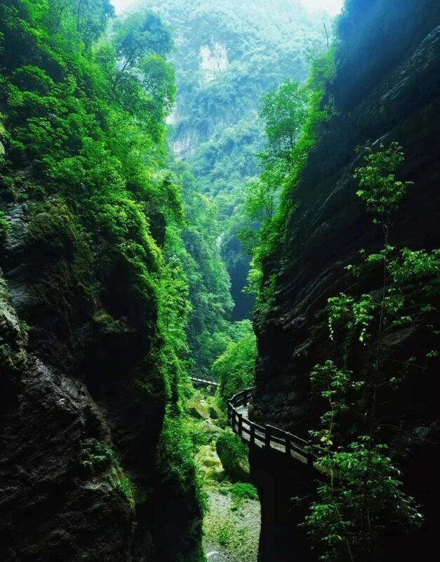 Chongqing 5-Day Three Natural Bridges and City Highlights Tour - Chongqing’s city day moves fast