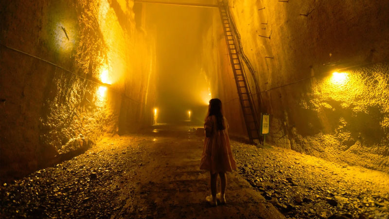 Chongqing 816 Nuclear Plant & Wuling Mountain Grand Canyon Full-Day Small Group Tour - Who should book this day trip?