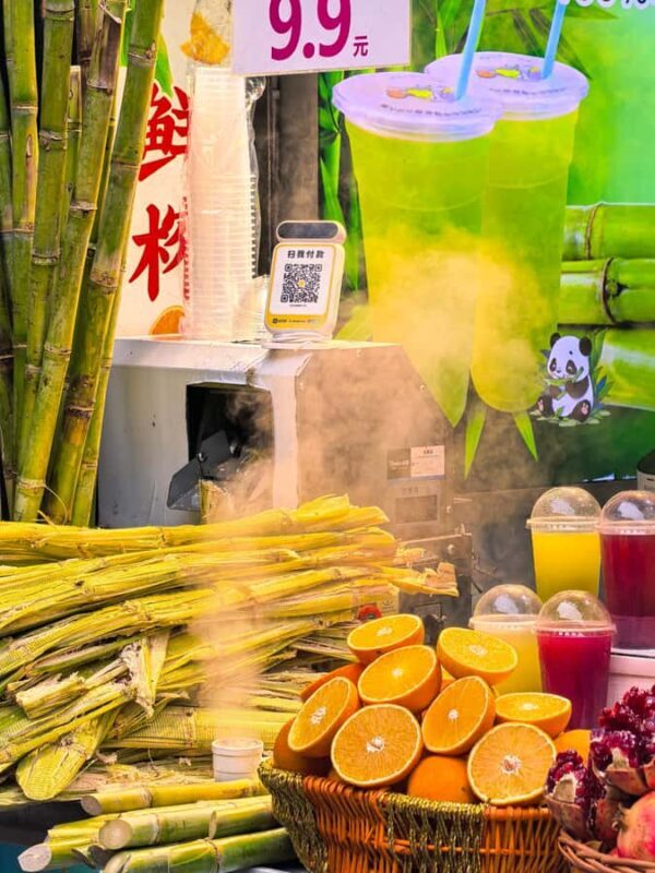 Chongqing: Ancient Town, Monorail, Park and Art Private Tour - The Elevated Parks and Panoramic Views