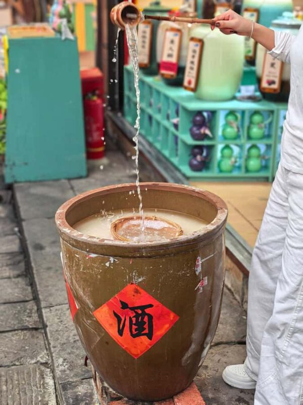 Chongqing: Ancient Town, Monorail, Park and Art Private Tour - Liziba Viewing Platform and Hong’ensi Forest Park