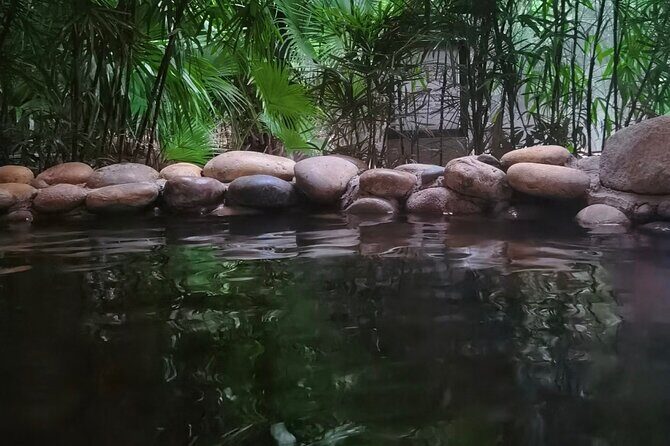 Chongqing Ciqikou Ancient Town and Hot Spring Taxi Tour - The Sum Up