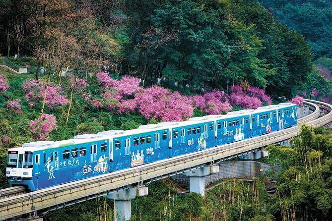 Chongqing City Private Walking Tour Experience - Good To Know
