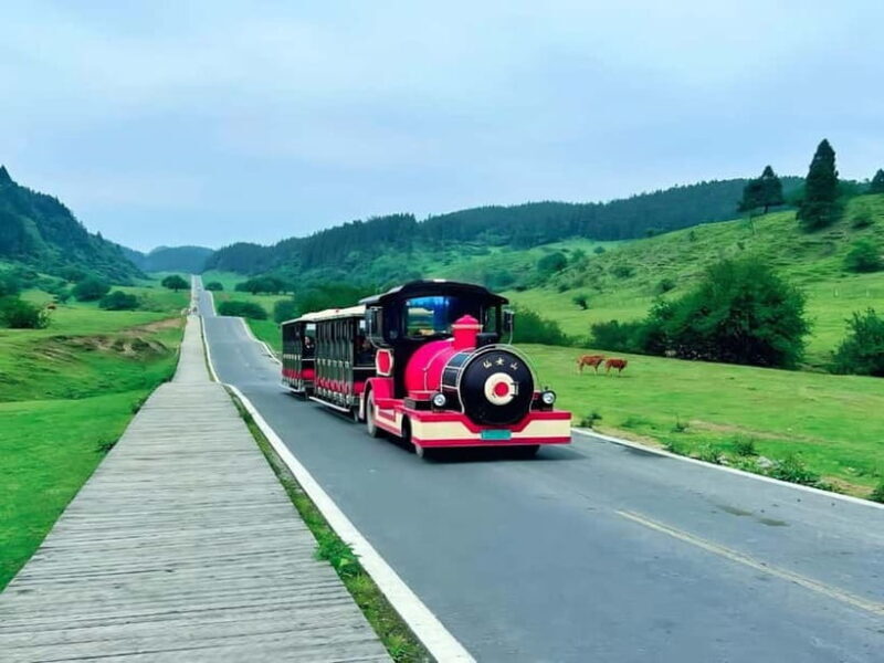 Chongqing Explore Wulong Private Day Tour - Highlights of the Scenic Spots