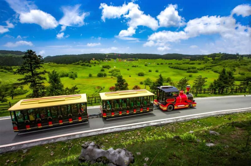 Chongqing: Fairy Mountain Forest Park Ticket - The Itinerary Breakdown