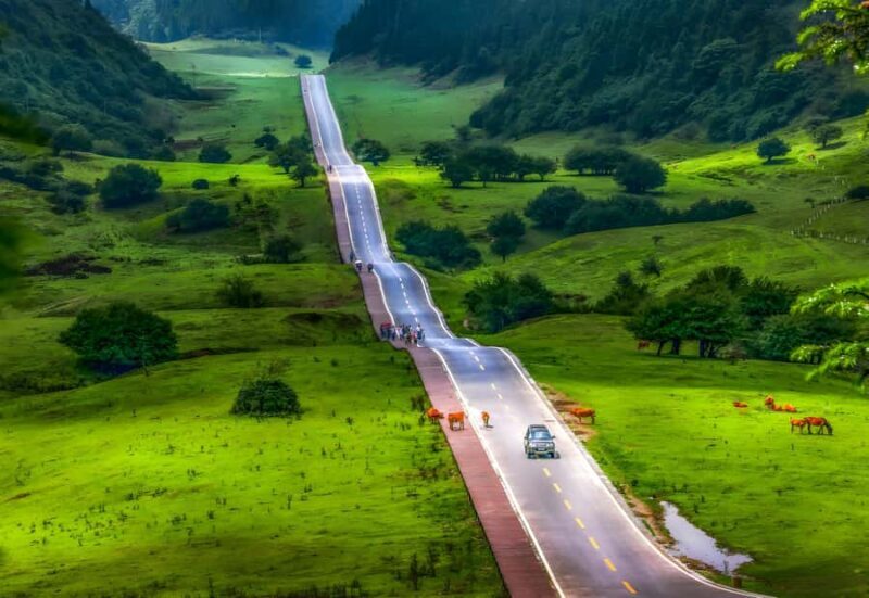 Chongqing: Fairy Mountain Forest Park Ticket - Practical Details and Tips