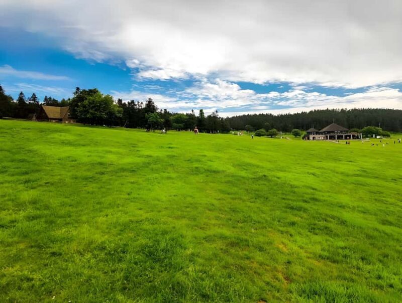 Chongqing: Fairy Mountain Forest Park Ticket - Good To Know