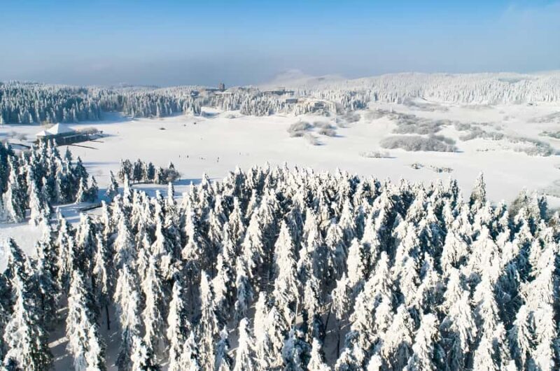 Chongqing: Fairy Mountain Forest Park Ticket - Introduction to Fairy Mountain Forest Park