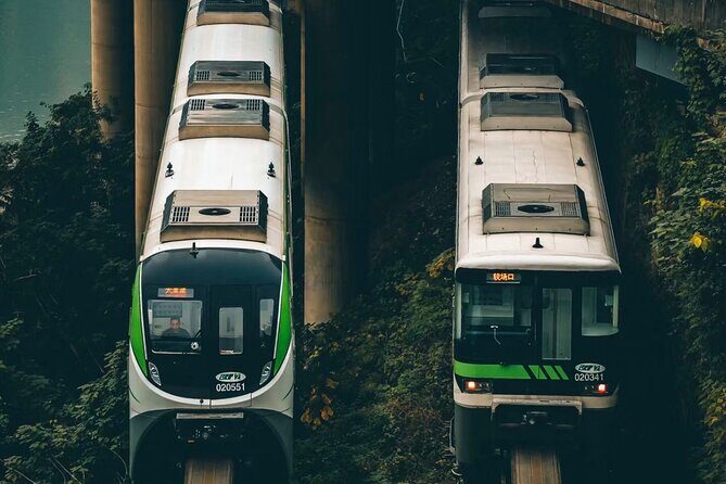 Chongqing Half-Day Tour Hongya Cave, Jiefangbei and Liziba - Good To Know