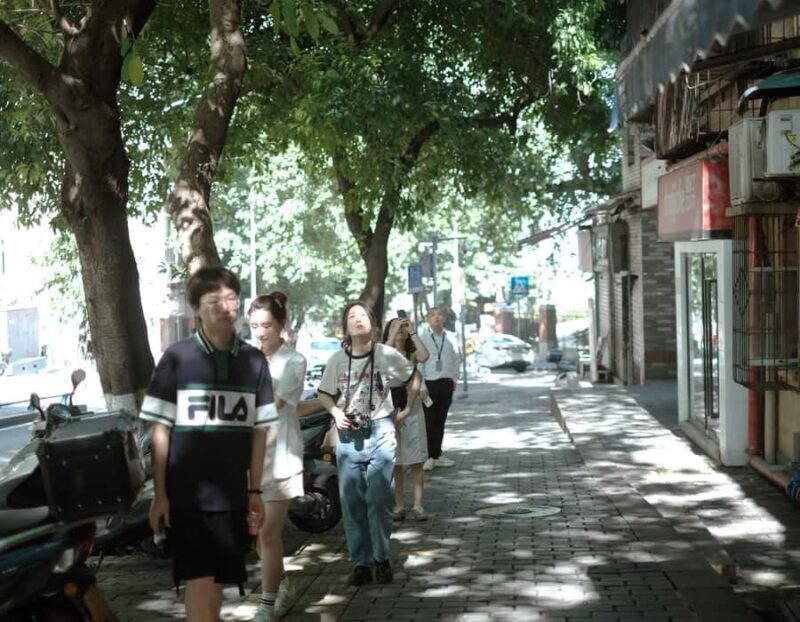 Chongqing: Hidden City Walking Tour with Local Guide - Good To Know