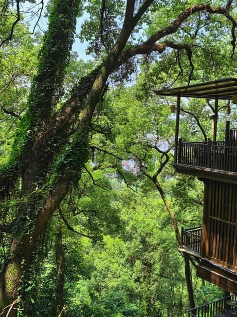 Chongqing: Historical Blocks, Temple, and Mountain Tour - Is It Worth the Price?