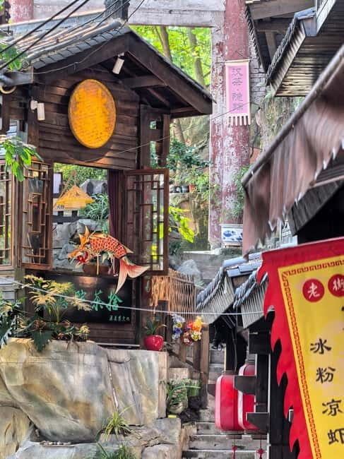 Chongqing: Historical Blocks, Temple, and Mountain Tour - Who Should Consider This Tour?