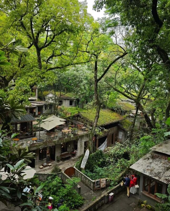 Chongqing: Jinyun Mountain, Museum & Old Street Tour - Good To Know