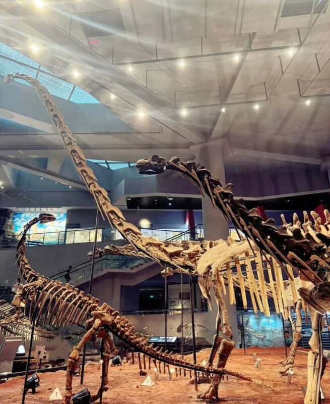 Chongqing: Jinyun Mountain, Museum & Old Street Tour - Jingangbei Hot Spring Village: Historic Charm & Relaxation